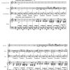 BIZET Georges : Carmen II. Habanera - transcr. for Clarinet in Bb, Viola, Dble Bass, and Harp by Sandrine Luzignant - Image 3