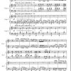BIZET Georges : Carmen II. Habanera - transcr. for 4 harps by Sandrine Luzignant - Image 3