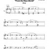 DVORAK A.: "Going Home" aus der 9. Sinfonie "Aus der Neuen Welt", Bearbeitung von Saori Mouri