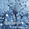 SWEEGERS Michelle : Raindrops