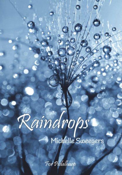 SWEEGERS Michelle : Raindrops