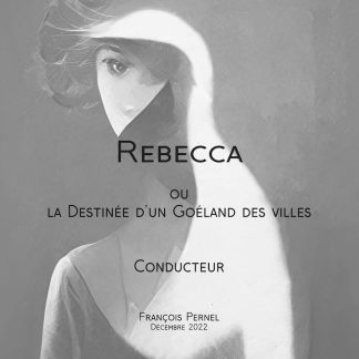 PERNEL François : Rebecca ou les aventures d'un goéland des villes