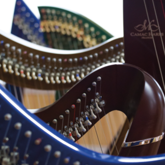 Autres jeux pour harpe celtique à cordes boyau